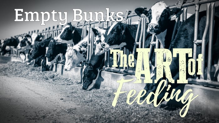 The Art of Feeding: Empty Bunks