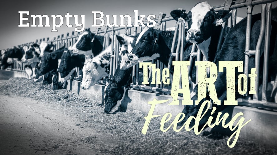 The Art of Feeding: Empty Bunks