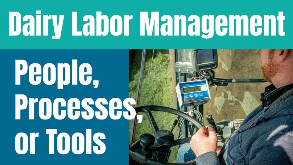 Dairy Labor Management: People, Process, or Tools