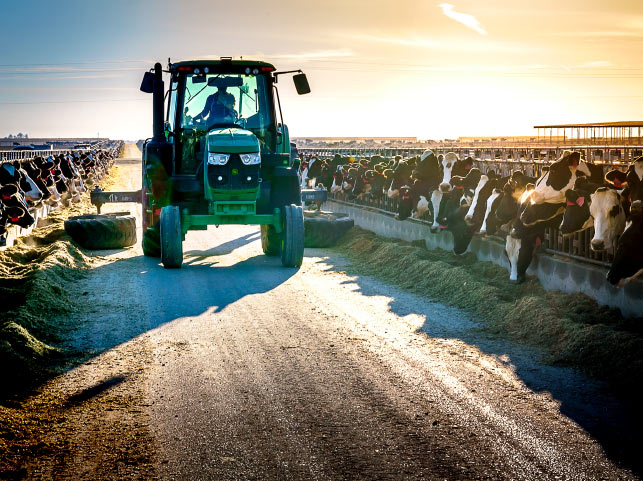 As Dairy Farmers Struggle, Is Feed Management Software a Cash Cow?