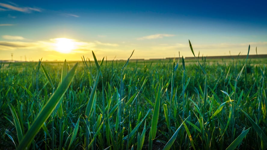 Mental Health: Down Home on the Farm Part 1