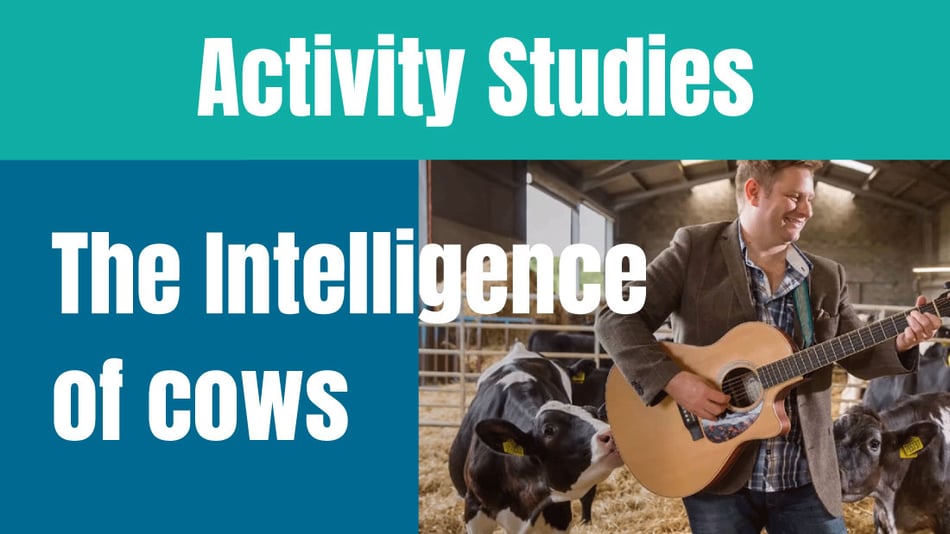 Are cows emotionally intelligent? &nbsp;[Part 3]