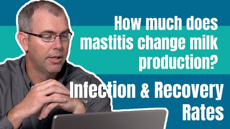 Herd Health and Mastitis Recovery: Understanding Infection Rates [Video]