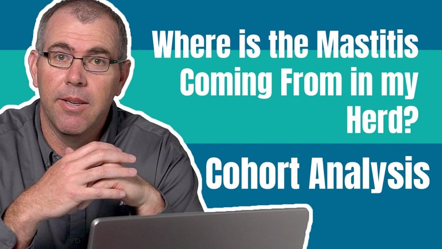 Where is the cause of mastitis in my herd? [Video]