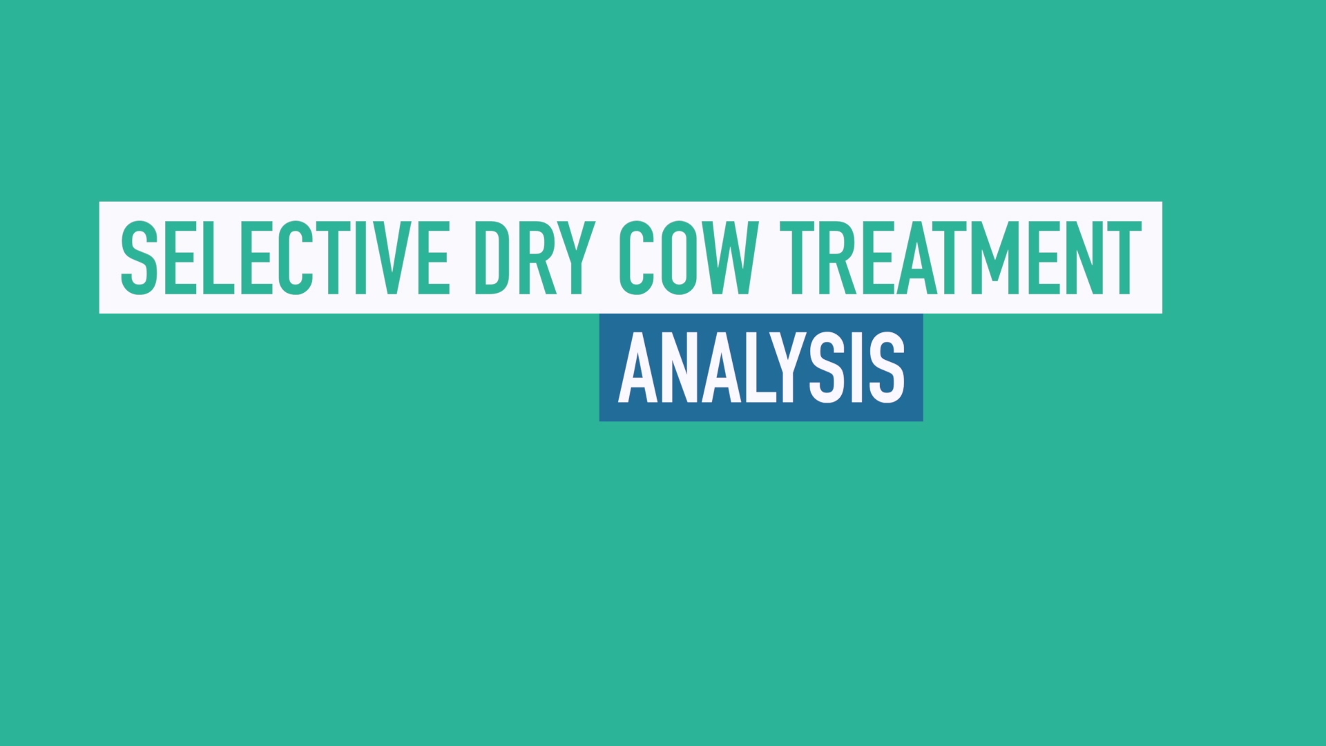 Selective Dry Cow Treatment Analysis
