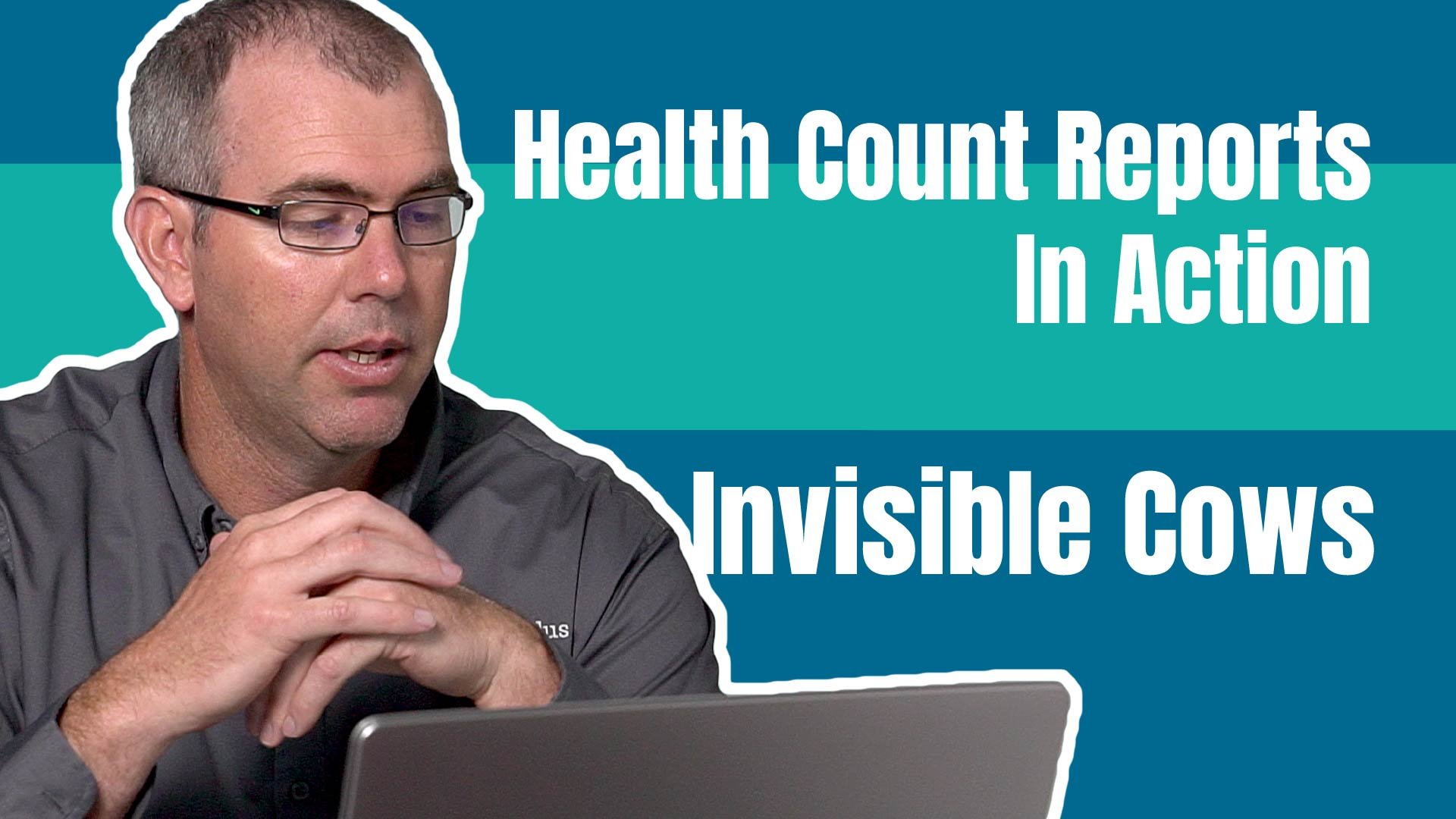 Health Count Reports in Action