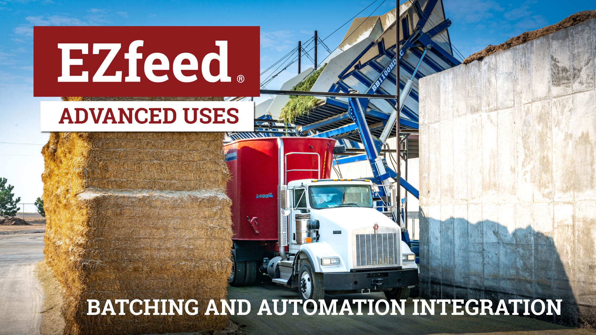 EZfeed Advanced Uses - Batching and Automation Integration