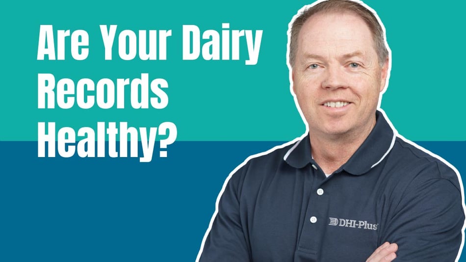 Are Your Dairy Herd Records Healthy?
