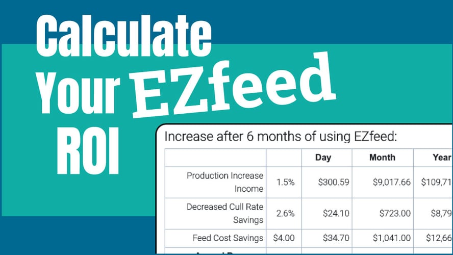How Fast Can EZfeed Pay for Itself? [Case Study]