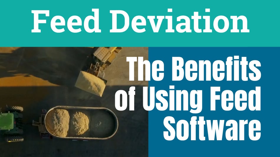 The Benefits of Using Feed Software Instead of Feed Sheets on a Dairy: A Case Study on Feeder Deviation