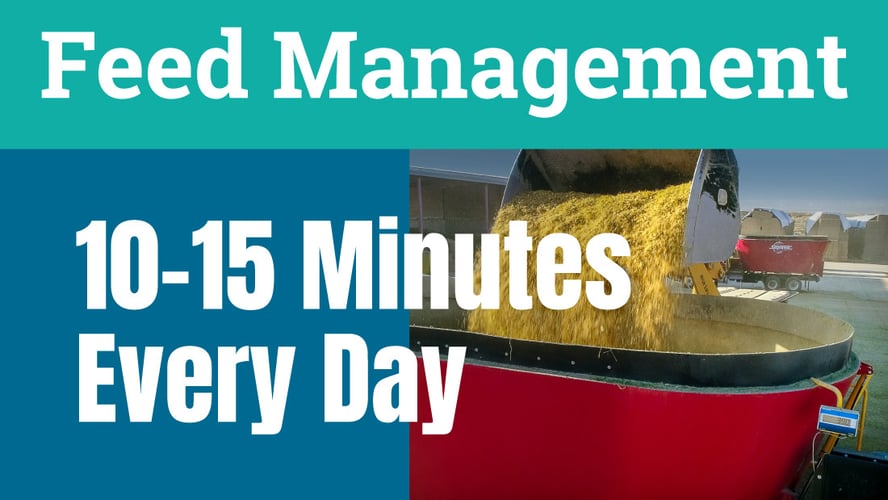 Use 10-15 minutes a day to avoid surprises on your feed operation