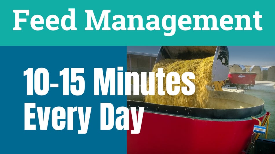 Use 10-15 minutes a day to avoid surprises on your feed operation