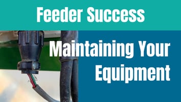 Feeder Success: Maintaining Your Equipment