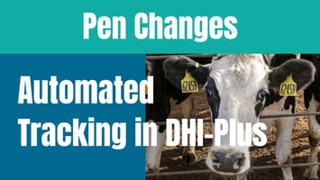 Automated Pen Change Tracking in DHI-Plus