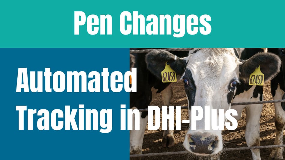 String Logging: Using Herd Management Software to Track Pen Changes