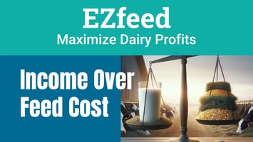 Optimizing Income Over Feed Cost with EZfeed