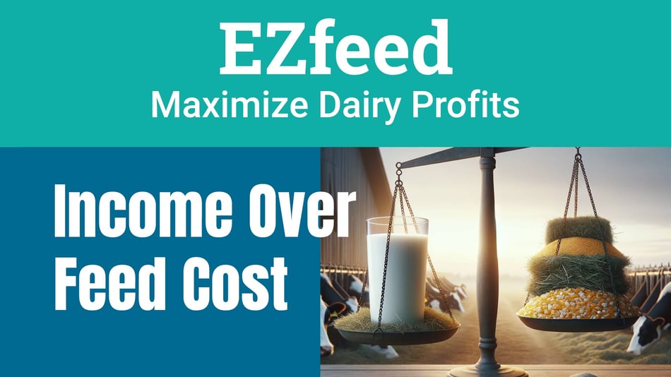 Maximize Dairy Profits: Optimizing Income Over Feed Cost with EZfeed