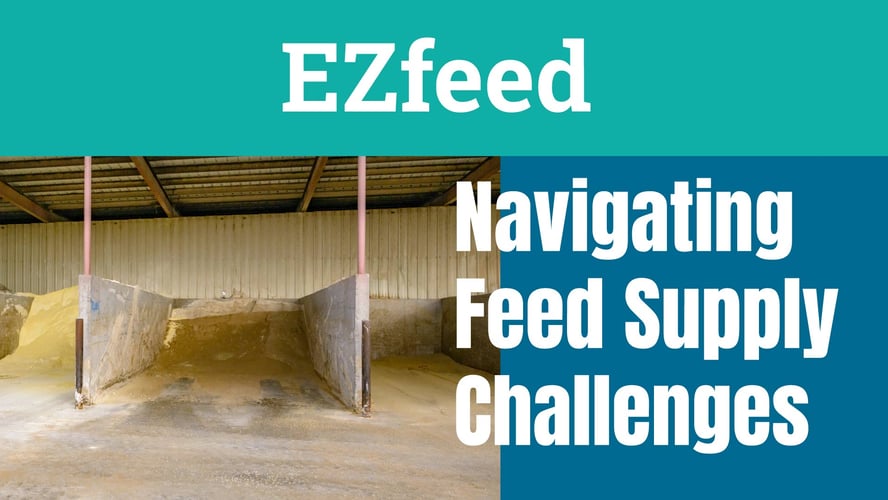 Navigating Feed Supply Challenges in Dairy Farming with EZfeed Feeding Scenarios