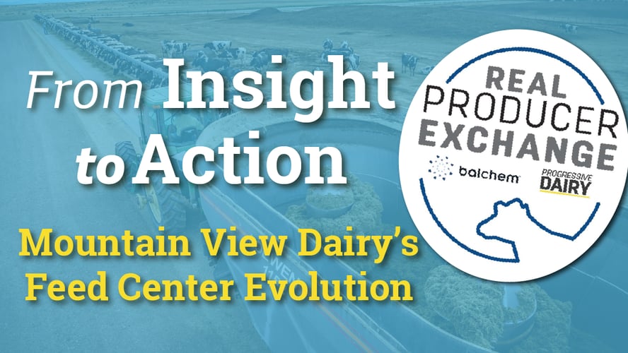 Lessons from Real Producer Exchange with Greg Nye: Inside Mountain View Dairy’s Approach to Practical Decision-Making