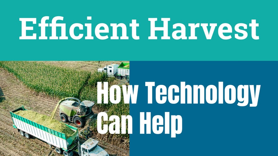 Building an Efficient Harvest: Key Considerations, Challenges, and How Technology Can Help