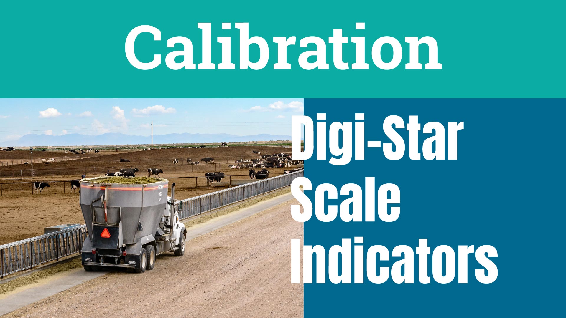 calibration-scale-indicators-thumb