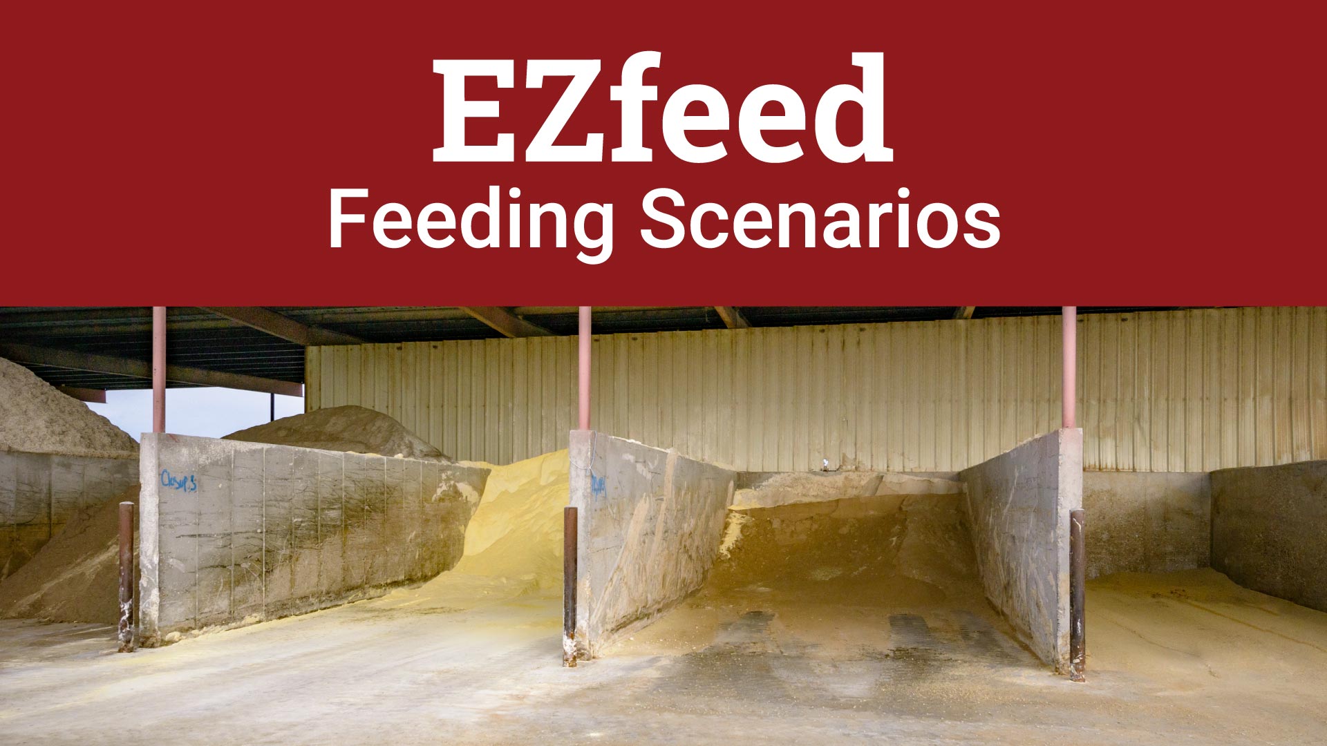 EZfeed Feeding Scenarios