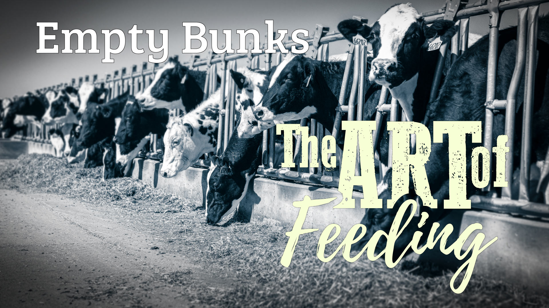 The Art of Feeding: Empty Bunks