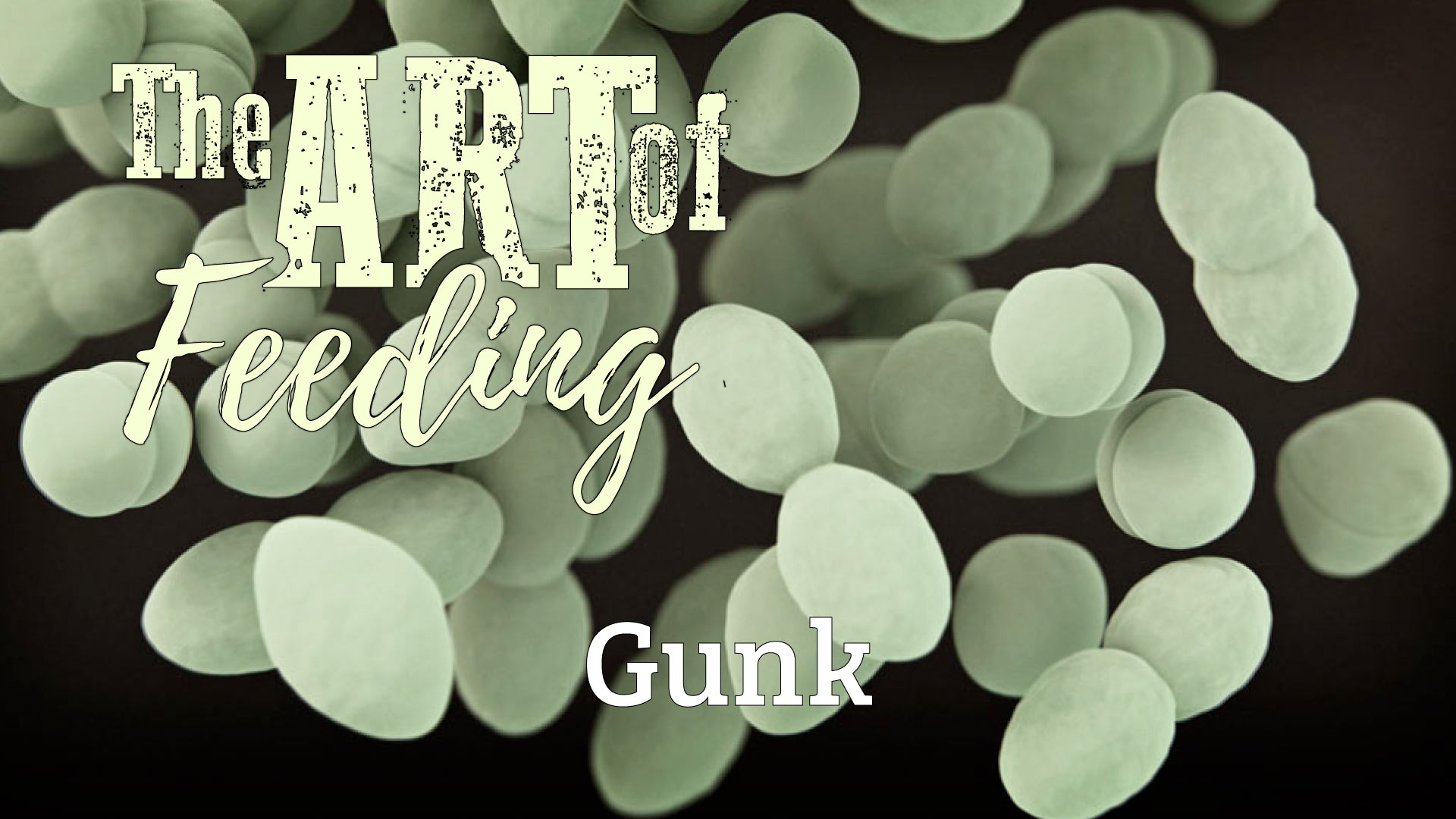 The Art of Feeding: Gunk