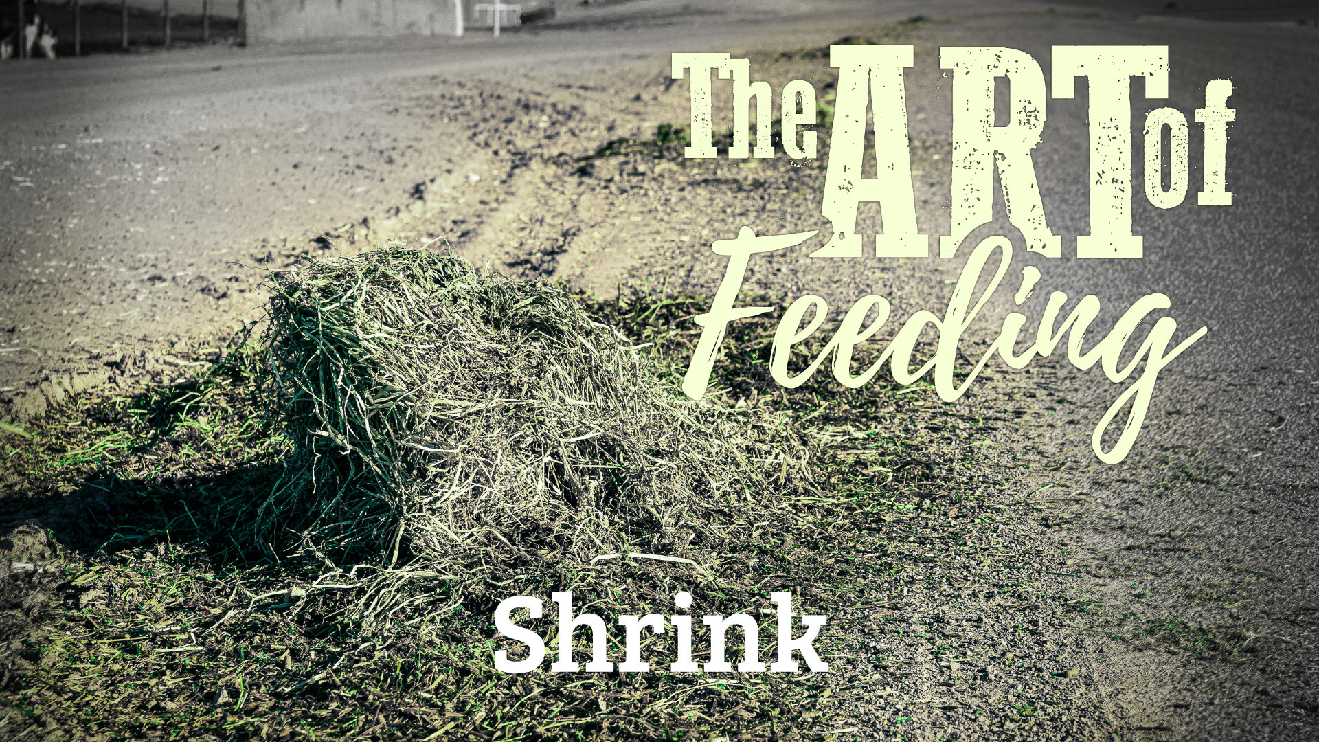 The Art of Feeding: Shrink