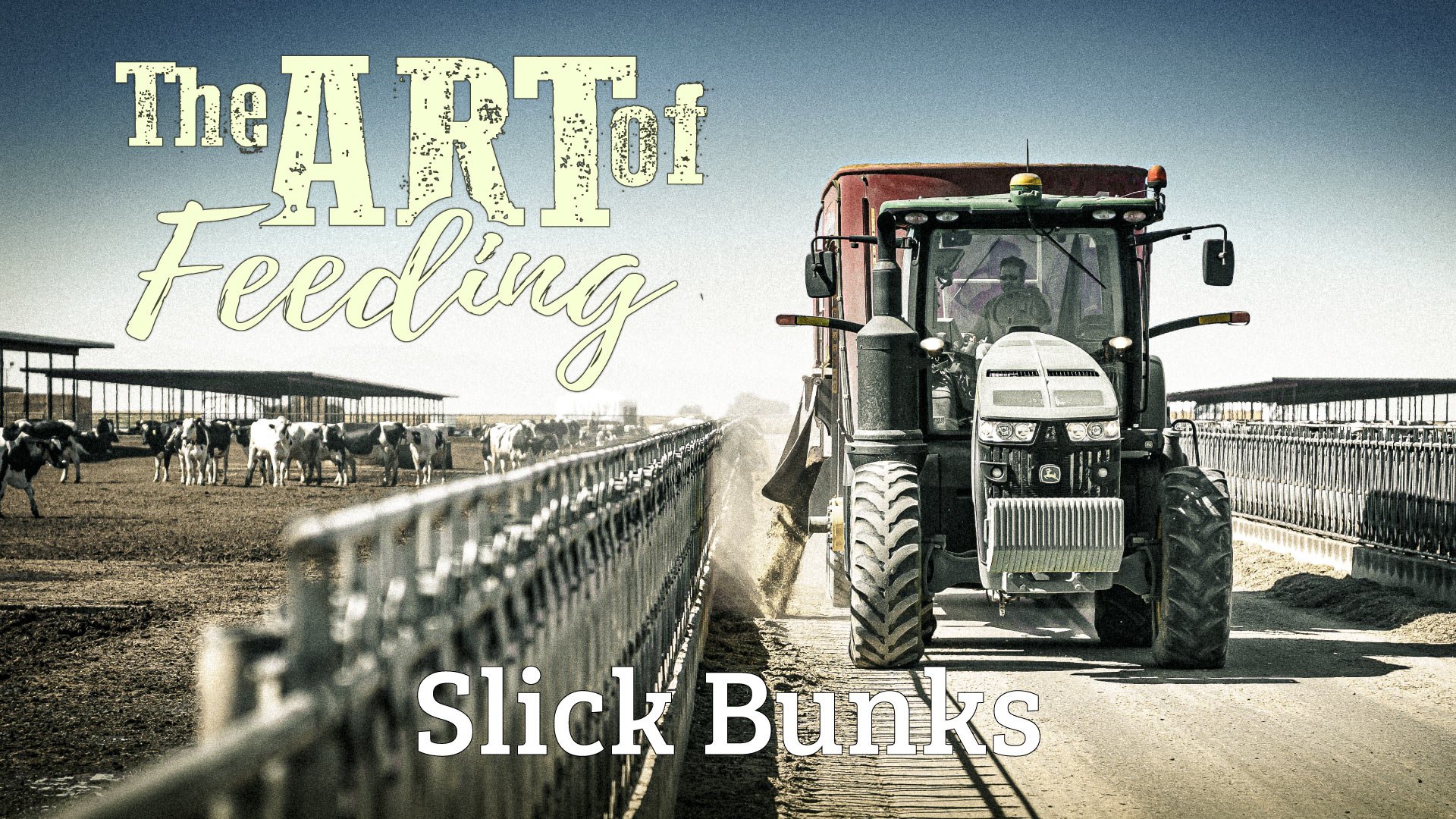 The Art of Feeding: Slick Bunks