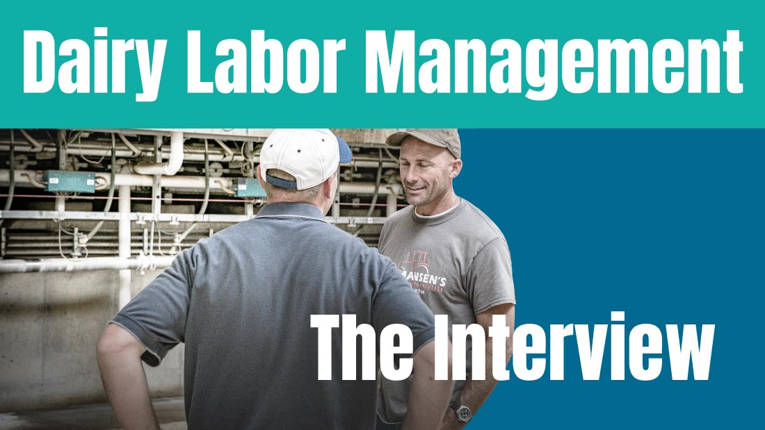 Dairy Labor Management: The Interview