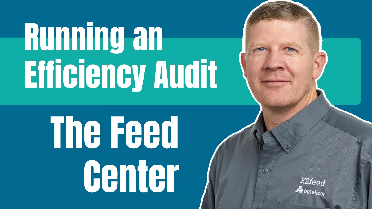 The Feed Center Efficiency Audit