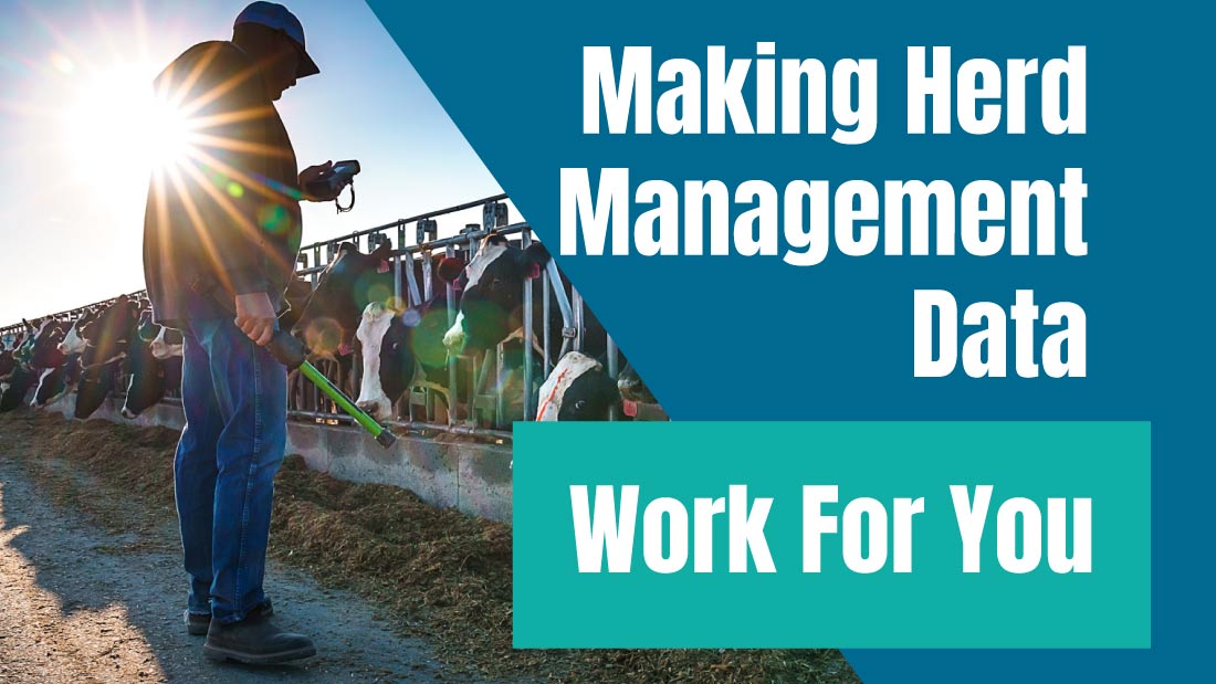 Making Herd Management Data Work For You