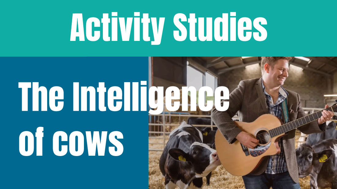 Activity Studies: The Intelligence of Cows