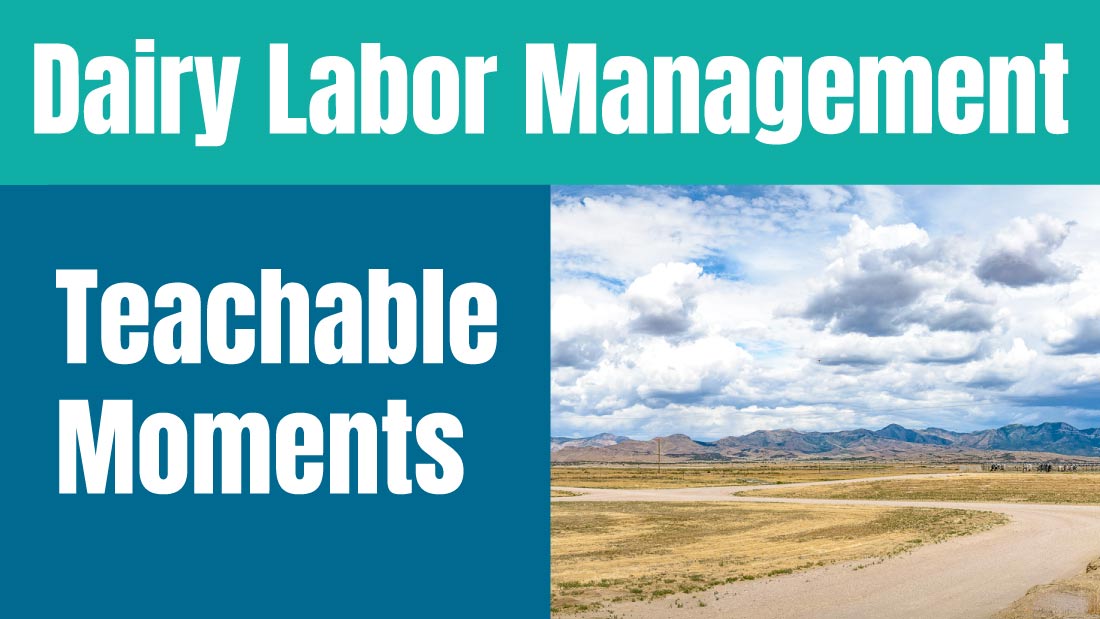 Dairy Labor Management: Teachable Moments