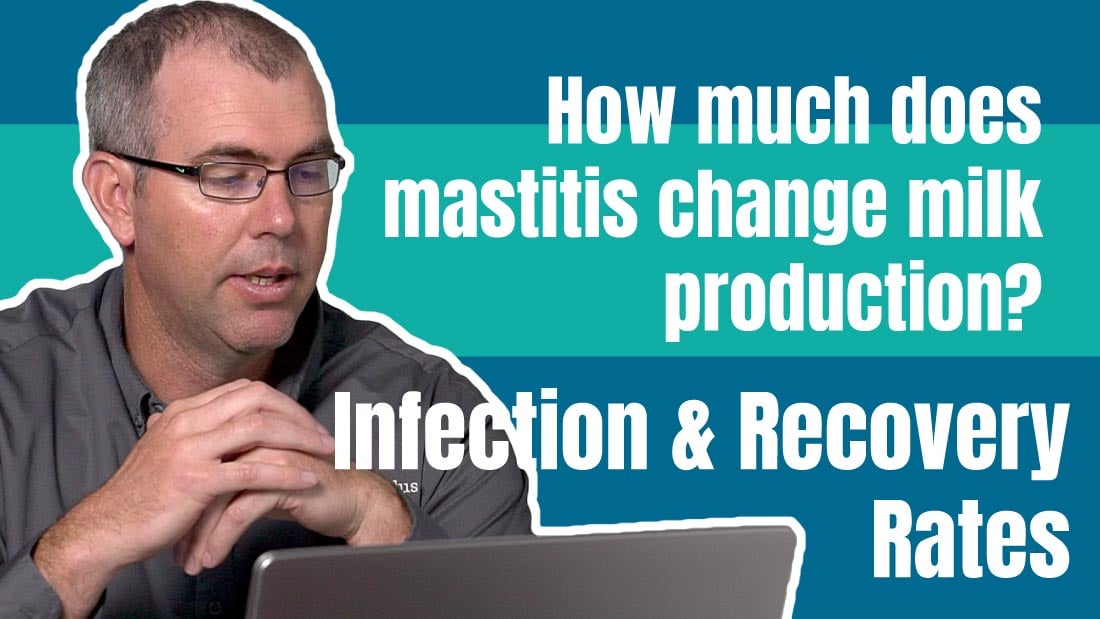 How does mastitis change milk production? Infection and Recovery Rate Analysis.