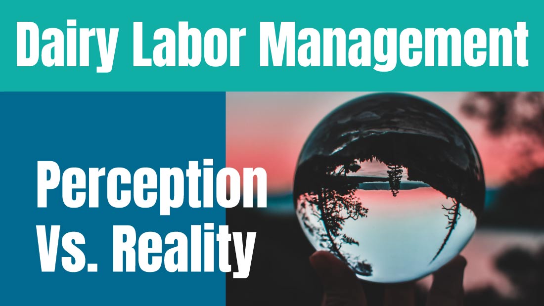 Dairy Labor Management: Perception Versus Reality