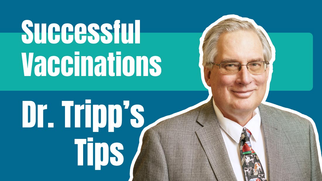 Successful Vaccinations by Dr. Tripp