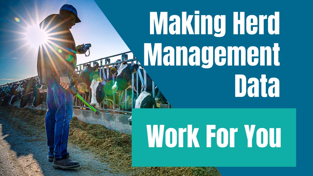 Putting herd management data to work