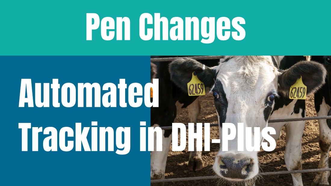 Automated Pen Change Tracking in DHI-Plus