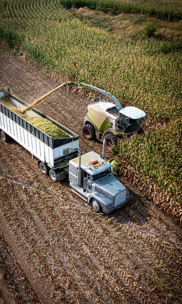 feed-cost-harvest-DJI_0031