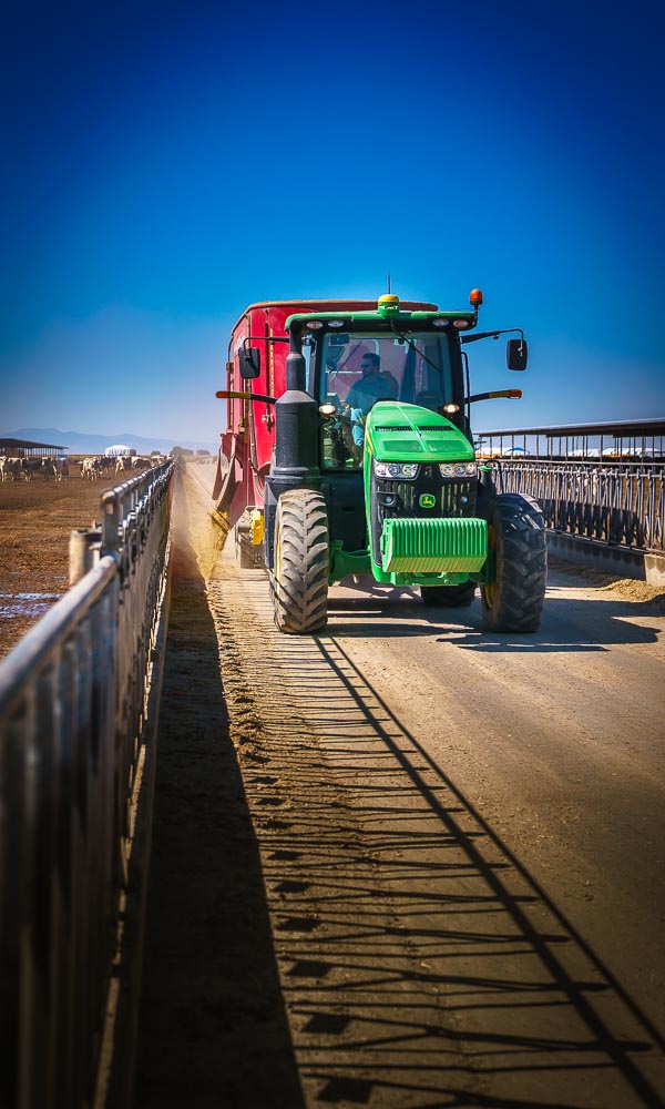 feeding_DSC4644