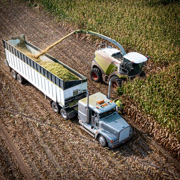 harvest-1x1-DJI_0031